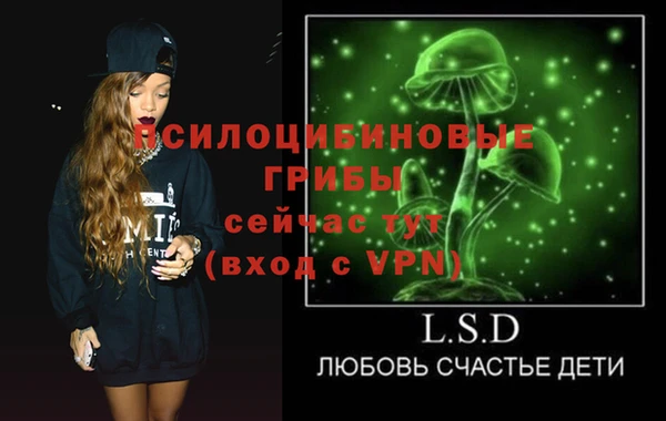спайс Алексин