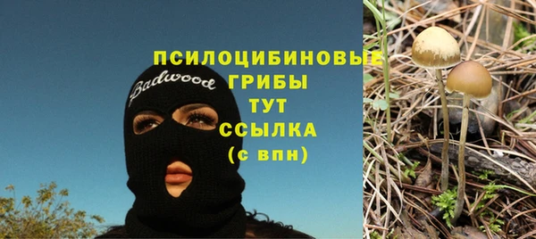 скорость Ладушкин
